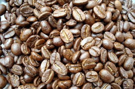 廣州市白云區(qū)太和源味食品加工廠 專(zhuān)注于食品開(kāi)發(fā)與生產(chǎn)的創(chuàng)新企業(yè)