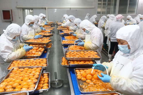 延伸果蔬加工產(chǎn)業(yè)鏈 出口罐頭生產(chǎn)忙