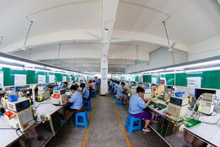 雪峰山下產(chǎn)業(yè)新篇 洞口經(jīng)開區(qū)食品產(chǎn)業(yè)蓬勃發(fā)展紀實