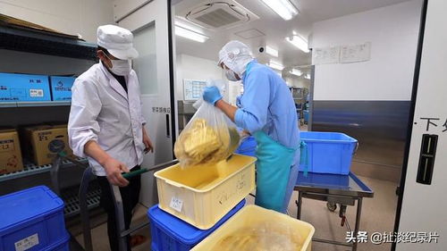 日本學生餐食探秘 食品開發(fā)與生產(chǎn)背后的科學與責任