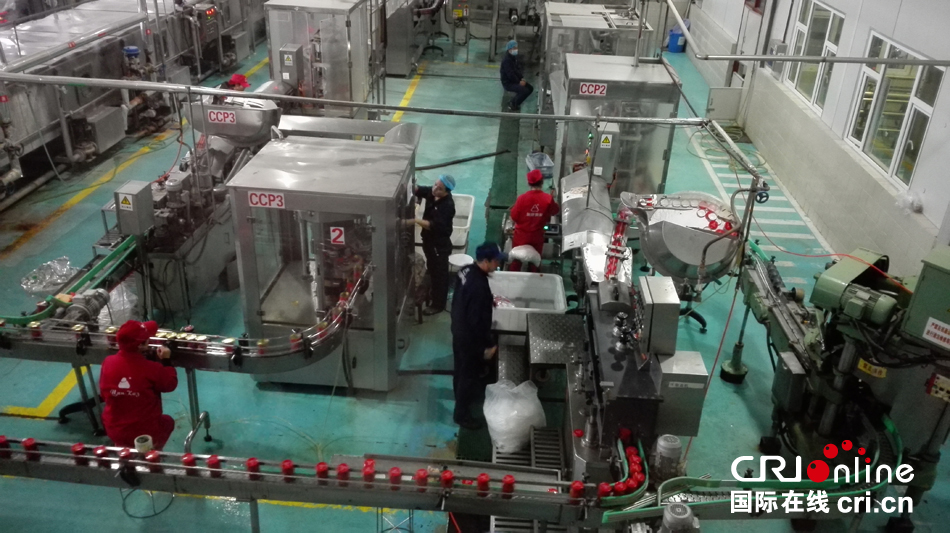 烏魯木齊經(jīng)濟技術開發(fā)區(qū) 食品開發(fā)助力新疆對外貿(mào)易新突破