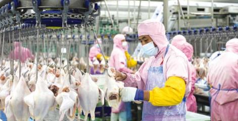 固鎮(zhèn) 錨定“四大戰(zhàn)略”推動高質量發(fā)展，食品開發(fā)引領產(chǎn)業(yè)升級