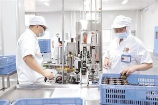 香菇創(chuàng)新吃法走紅，美食潮流席卷非洲市場