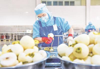 以食品開發(fā)促進深加工 推動梨產(chǎn)業(yè)高質量發(fā)展