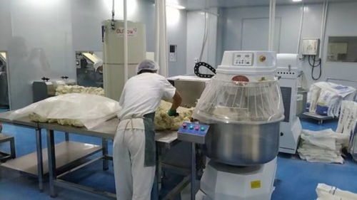 潼關盛潼餐飲公司 日產(chǎn)量兩百萬個肉夾饃餅坯，助推當?shù)匦〕援a(chǎn)業(yè)升級