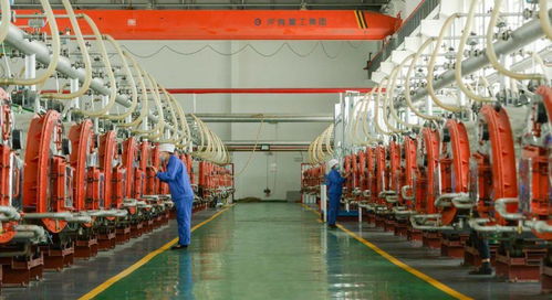 伊犁河谷起宏圖 兵團(tuán)四師可克達(dá)拉市食品開發(fā)成就巡禮