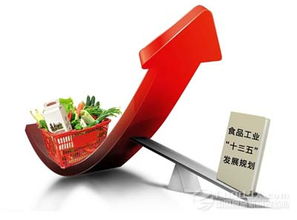 《“十三五”食品工業(yè)發(fā)展意見》發(fā)布 聚焦?fàn)I養(yǎng)健康，功能性食品迎來發(fā)展新機(jī)遇