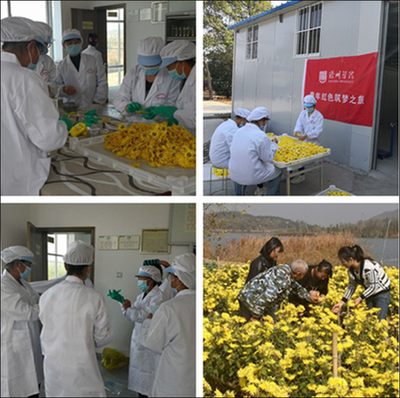 食品學院實踐團隊赴妙山村開展“青年紅色逐夢之旅” 科技賦能傳統食品開發，助力鄉村振興